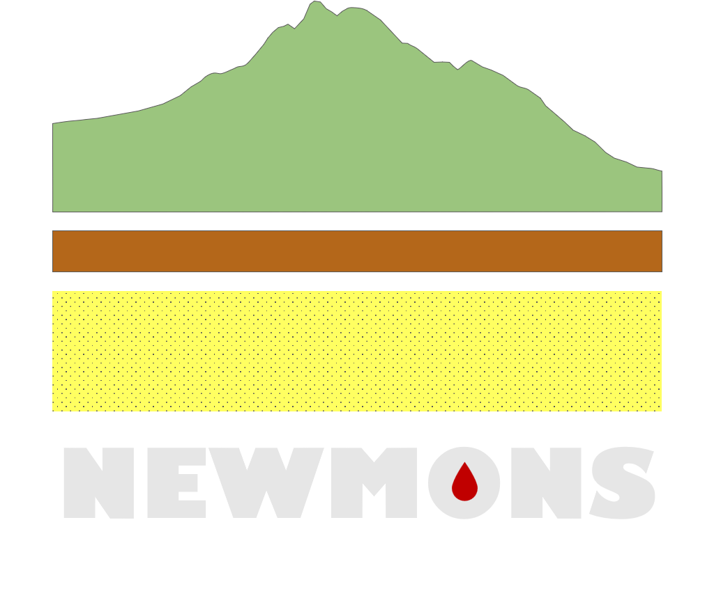Newmons Geological Consultancy PLT